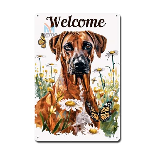 Ymyoo Dekoratives Blechschild, Wandkunst, schlank, rhodiniert, Ridgeback, Welcome with African Daisies for Home Enries Rhodesian Ridgeback Enthusiast Areas, einfache Installation von Ymyoo