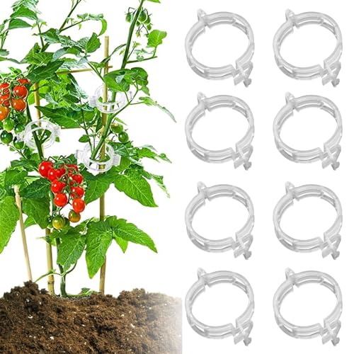 Yoaeyok 300 Stück Tomatenclips Verbinden, Kunststoff Tomatenclips Ranken Clips Pflanzen Sicherung Pflanzenclips, Tomatenklammern Pflanzenstützen für den Garten, für Führung von Pflanzenwachstum von Yoaeyok