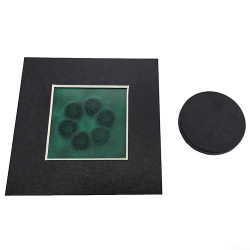 YobiLife Magnetfeldbetrachter, Filmmuster-Display, Membran-Detektor für statische Magnetfelder, wissenschaftliche Forschung, pädagogisches Werkzeug, 50 x 100 mm, Dunkelgrün (G-75 x 75 mm) von YobiLife