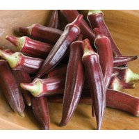 Kostenloser Versand, 50 - 200 Burgundy Red Okra Gemüsesamen Bio Non Gmo. 12 20 cm Große Pflanzen von YogicVibe