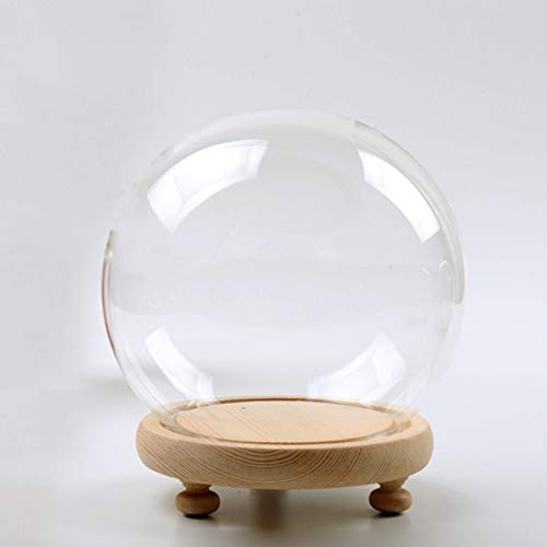 Yolaka Runde Glasglocke mit Holztablett, Durchmesser 15 cm von Yolaka