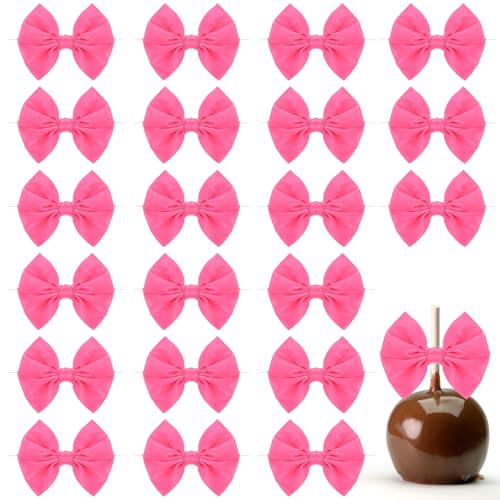 24 Stück Kleine Satinschleifen RosaSatinschleifen zum Geschenkverpackung DIY Handwerk Deko Schleifen Satinbandschleifen für Hochzeit Basteln Weihnachtskranz von Yolev