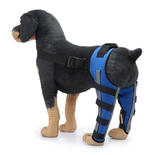 YolieraArt Hinterbeinbandage für Hunde, doppelte Rückenstütze mit reflektierendem Design, Neopren-Material für Knieluxation, stabilisiert Gelenke, reduziert Schmerzen und Entzündungen, weich, stoßfest YolieraArt Hinterbeinbandage für Hunde, doppelte Rückenstütze mit reflektierendem Design, Neopren-Material für Knieluxation, stabilisiert Gelenke, reduziert Schmerzen und Entzündungen, weich, stoßfest von YolieraArt