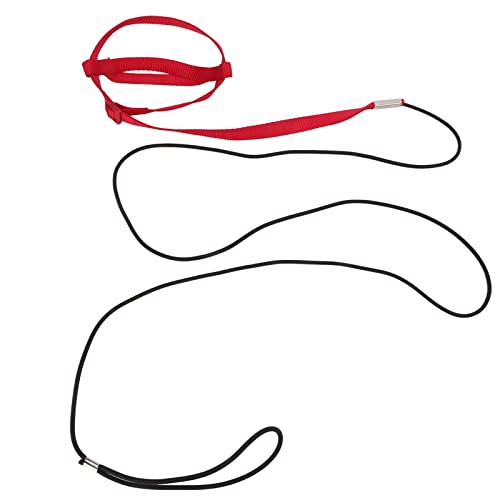 YolieraArt Vogelleine, verstellbares Papageien-Trainingsseil für Spaziergänge und Partys, starkes Nylon-Gurtband und elastisches Seil, 8-förmiger Gurt, leicht mit Griffhaken (XS) von YolieraArt