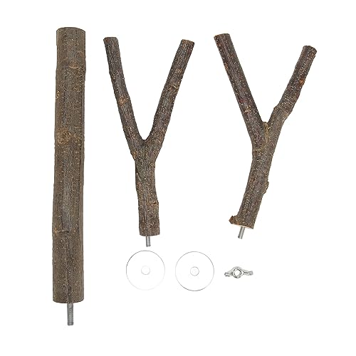 YolieraArt Vogelzweig aus Holz, 2 Gabelständer für Nymphensittiche und Lovebirds, sicheres Holzmaterial zum Krallenschleifen und Schnabelpflege, ideal für Vogelkäfigbesitz YolieraArt Vogelzweig aus Holz, 2 Gabelständer für Nymphensittiche und Lovebirds, sicheres Holzmaterial zum Krallenschleifen und Schnabelpflege, ideal für Vogelkäfigbesitz von YolieraArt