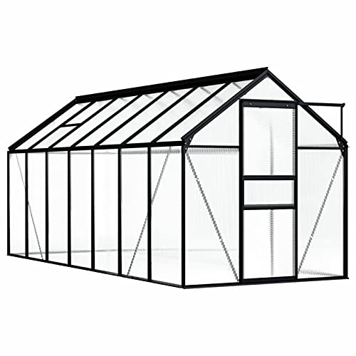 Yolola Aluminium Gewächshaus Gewächshaus Glas für den Garten Garten Tomatenhaus Frühbeet Alu Gewächshäuser Treibhaus Winterfest Gewächshaus Groß 190 x 430 x 125/195 cm Anthrazit und Transparent von Yolola