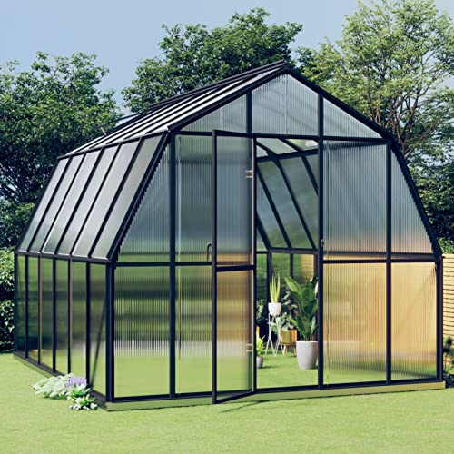 Yolola Aluminium Gewächshaus Gewächshaus Glas für den Garten Garten Tomatenhaus Frühbeet Alu Gewächshäuser Treibhaus Winterfest Gewächshaus Groß 282 x 338 x 243 cm Anthrazit von Yolola