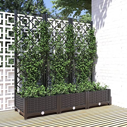 Yolola Hochbeet mit Rankgitter, Pflanzkübel mit Spalier, Blumentopf aus Polyrattan mit 3 Rankgittern, Poly Rattan - Schwarz - 120 x 40 x 121.5 cm Yolola Hochbeet mit Rankgitter, Pflanzkübel mit Spalier, Blumentopf aus Polyrattan mit 3 Rankgittern, Poly Rattan - Schwarz - 120 x 40 x 121.5 cm von Yolola