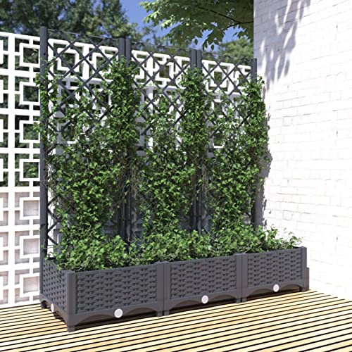 Yolola Pflanzkasten Mit Rankgitter Pflanzkübel mit Spalier Blumenkasten mit Rankgitter, Pflanzkasten für Kletterpflanzen, Hochbeet mit Spalier, Blumenkübel für Garten Dunkelgrau 120x40x121,5 cm PP Yolola Pflanzkasten Mit Rankgitter Pflanzkübel mit Spalier Blumenkasten mit Rankgitter, Pflanzkasten für Kletterpflanzen, Hochbeet mit Spalier, Blumenkübel für Garten Dunkelgrau 120x40x121,5 cm PP von Yolola