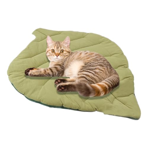 Yongmcxhhj Flaches Katzenbett | Katzenschlafplatz Weiche Katzenmatte | Waschbare rutschfeste Schlafunterlage Für Welpen Kleine Hunde | Boden Transportbox Couch Auto Reise Camping von Yongmcxhhj