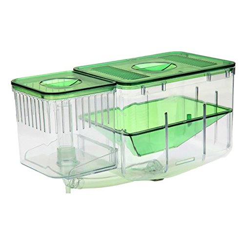 Aquarium Nursery automatische Fisch Zucht System von Yongse