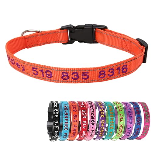 Reflektierend Nylon Hundehalsband Personalisiert mit Individuell Gesticktem Namen und Telefon für Große Mittlere Kleine Hunde Welpe Reflektierend Nylon Hundehalsband Personalisiert mit Individuell Gesticktem Namen und Telefon für Große Mittlere Kleine Hunde Welpe von Yonsbox