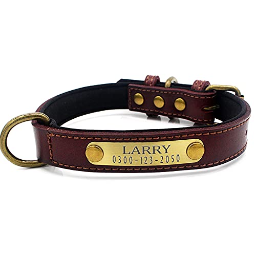 Weich Gepolstertes Hundehalsbänder und Leine Personalisierte Leder mit Namen und Telefonnummer Braun Welpen Halsband für Kleine Mittlere Große Hunde XL 3 cm Breit Verstellbar 46-56 cm Weich Gepolstertes Hundehalsbänder und Leine Personalisierte Leder mit Namen und Telefonnummer Braun Welpen Halsband für Kleine Mittlere Große Hunde XL 3 cm Breit Verstellbar 46-56 cm von Yonsbox
