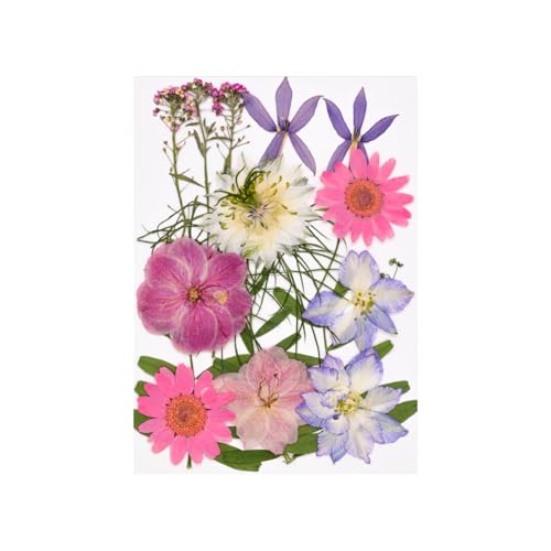 15pcs Natürliche Getrocknete Für Epoxidharz Basteln Trockene Blüten Und Blätter Für Seifen Kerzenschmuck Die Scrapbooking Scrapbooking Blütenzubehör Machen von Yooghuge