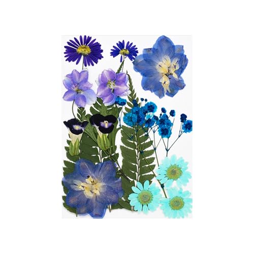 15pcs Natürliche Getrocknete Für Epoxidharz Basteln Trockene Blüten Und Blätter Für Seifen Kerzenschmuck Die Scrapbooking Scrapbooking Blütenzubehör Machen von Yooghuge
