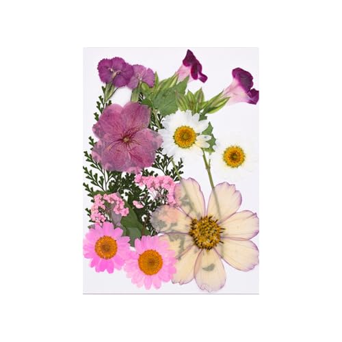 15pcs Natürliche Getrocknete Für Epoxidharz Basteln Trockene Blüten Und Blätter Für Seifen Kerzenschmuck Die Scrapbooking Scrapbooking Blütenzubehör Machen von Yooghuge