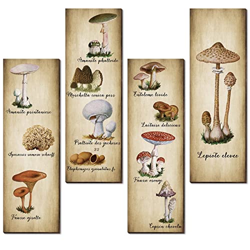 4 Stück Pilz Wanddekoration Vintage Pilz Wandkunst Schild Rustikale Holz Pilz Küche Dekor Pilz Poster Hängende Pilz Ästhetische Kunst für Schlafzimmer Esszimmer Wohnzimmer Büro (27,9 x 8,9 cm) von Yookeer