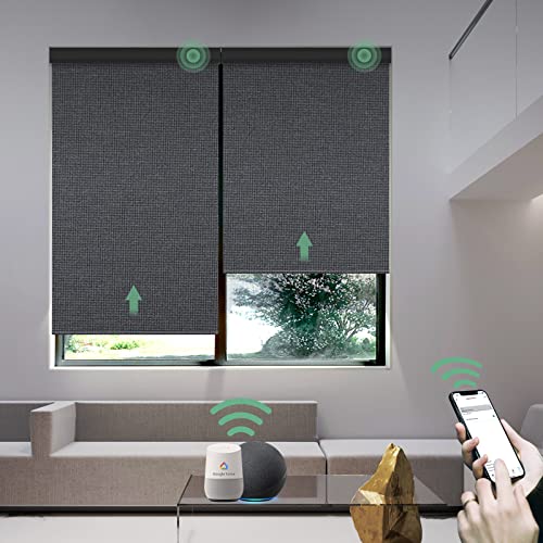 Yoolax Elektrisches Rollo Smart Rolladen mit Akkumotor und Fernbedienung Alexa kompatibel 100% Verdunkelung Innenrollos nach maß für Wohnzimmer Schlafzimmer Büro(Gitter Schwarz) von Yoolax