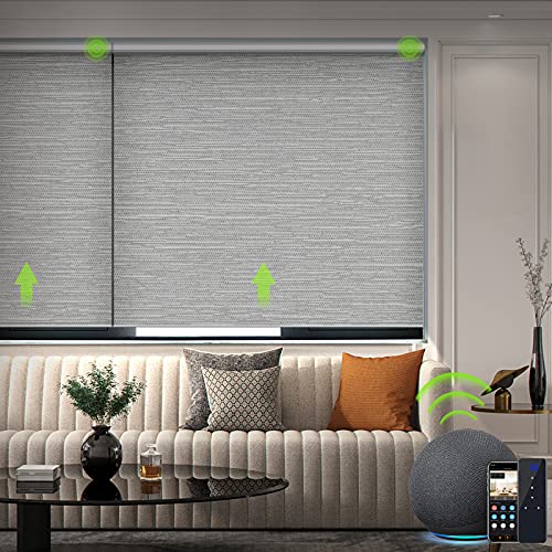 Yoolax Jacquard Elektrisches Rollo Alexa Smart Rolladen mit Akkumotor und Fernbedienung 100% Verdunkelung nach maß für Home Office, Schnurlos(Jacquard Grau) von Yoolax