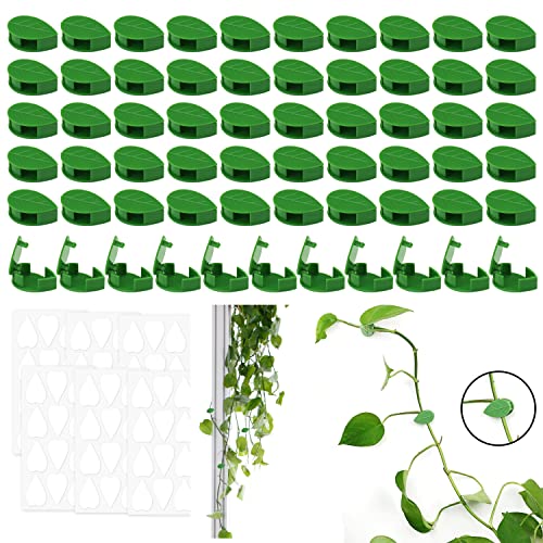 Yoosso 60 Stück Pflanzenhalter Wand, Pflanzenclips Wand Pflanzenwand Kletterpflanzen Halterung Pflanzenclips für Kletterpflanzen Plant Climbing Wall Garten Pflanzen Stängel von Yoosso