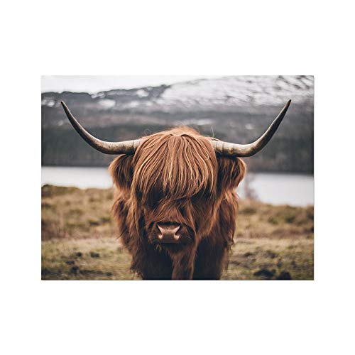 Leinwand Gemälde Highland Kuh Wildtiere Rinder Poster und Druck Skandinavische Wandkunst Bild für Wohnzimmer Dekor 60x80cm (24x31in) Rahmenlos von Yooyu