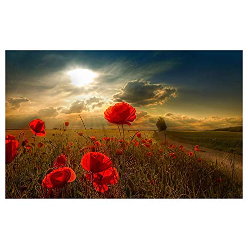 Yooyu Rote Blumen Leinwandbilder Sonnenuntergang Landschaft Leinwand Poster und Drucke Wandkunst Bilder für Wohnzimmer Dekor 50x70cm Rahmenlos von Yooyu