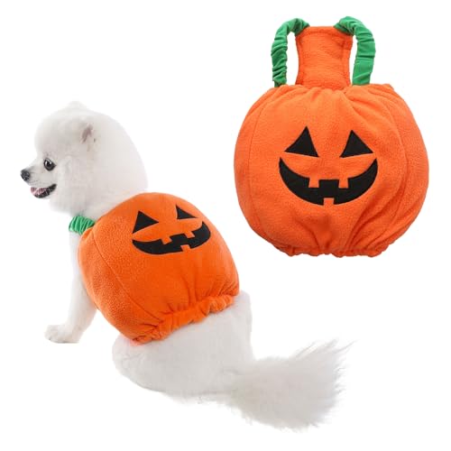 Yoption Lustiges Halloween-Kostüm für Hunde und Katzen, Halloween-Party, dicker Kürbis, Cosplay, Winterkleidung für Welpen Yoption Lustiges Halloween-Kostüm für Hunde und Katzen, Halloween-Party, dicker Kürbis, Cosplay, Winterkleidung für Welpen von Yoption