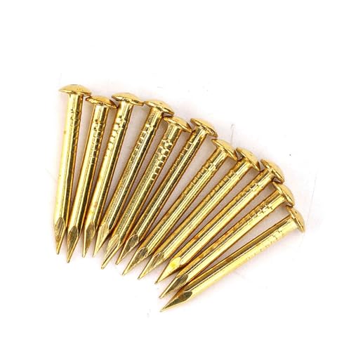 Messingnägel, 100 Stück Rundkopf-Goldnägel Messing-Wandstifte 10 Mm/15 Mm/18 Mm/22 Mm für Holz, Zum Aufhängen von Bilderrahmen-Spiegeln(22mm long and bold) von Yosoo Health Gear