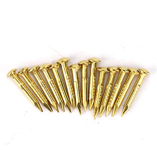 Messingnägel, 100 Stück Rundkopf-Goldnägel Messing-Wandstifte 10 Mm/15 Mm/18 Mm/22 Mm für Holz, Zum Aufhängen von Bilderrahmen-Spiegeln(Length 10mm) von Yosoo Health Gear