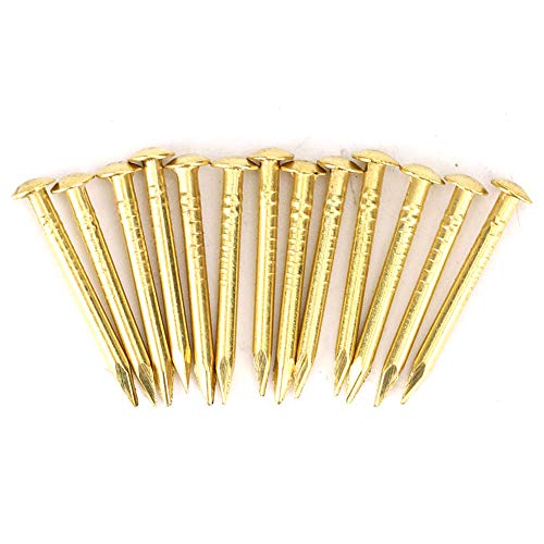 Messingnägel, 100 Stück Rundkopf-Goldnägel Messing-Wandstifte 10 Mm/15 Mm/18 Mm/22 Mm für Holz, Zum Aufhängen von Bilderrahmen-Spiegeln(Length 18mm) von Yosoo Health Gear