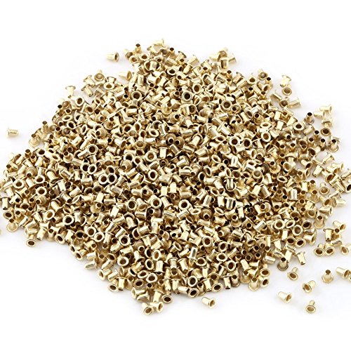 Yosoo Health Gear Bienenzucht Öten Set, 700pcs Messing Bienenstock Ösen 100g Bienenrahmen -Ösen Bienenstock Nest Box Frame Endgewinde -Loch -Ölungen, um die Beschädigungen des Holzes zu Minimieren von Yosoo Health Gear