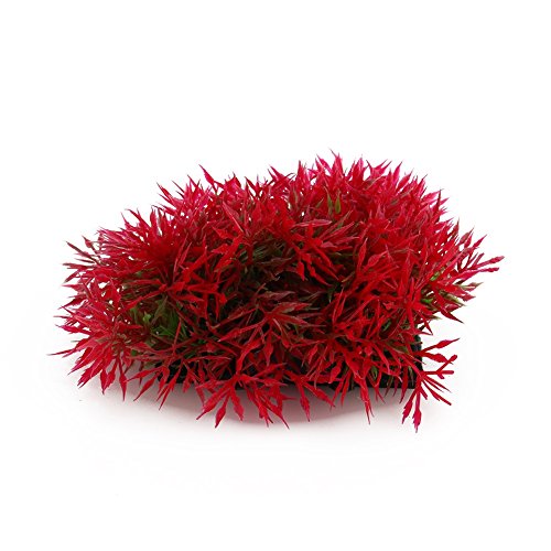 Künstliche Kunststoff-Wassergras Für Aquarium-Pflanzen Für Ornamente von Giftglas (Color : Maple Red) von Yosoo