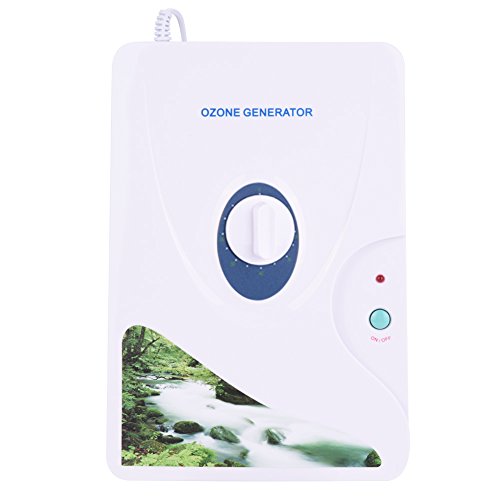 Ozongenerator Ozonator Luftreiniger 600mg/h Öl Gemüse Fleisch Luft reinigen Wasser von Yosoo