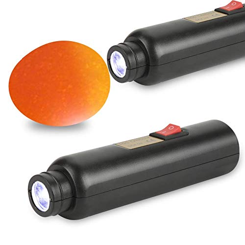 LED-Licht Eierleuchter Tester Auto Mini Lighting Inkubator für Experimente exklusiv von Yosoo