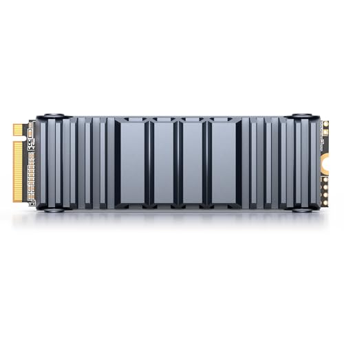 Yottamaster YS5 2TB M.2 NVMe SSD mit Kühlkörper für PS5, PCIe 4.0×4 bis zu 7450 MB/s, 3D TLC NAND, PS5 Optimierte Kühlung für Gaming SSD, Kompatibel mit PS5, Desktop PC Yottamaster YS5 2TB M.2 NVMe SSD mit Kühlkörper für PS5, PCIe 4.0×4 bis zu 7450 MB/s, 3D TLC NAND, PS5 Optimierte Kühlung für Gaming SSD, Kompatibel mit PS5, Desktop PC von Yottamaster