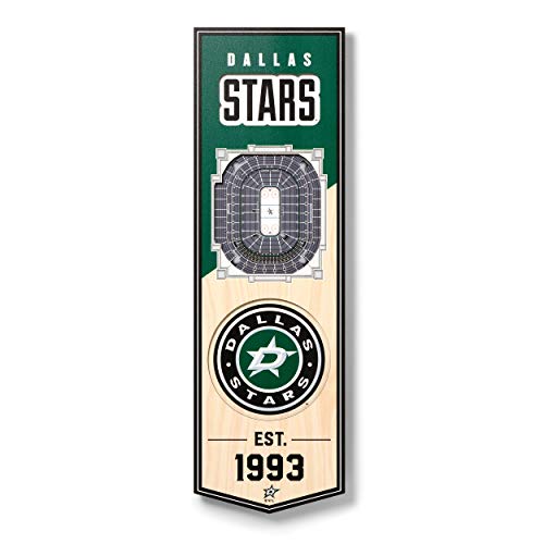 NHL Dallas Stars – American Airlines Center 3D-Stadion-Banner, Teamfarben, 15,2 x 48,3 cm von YouTheFan