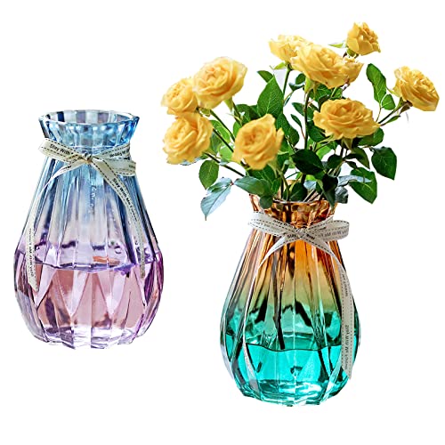 YouYuer Glasvasen,2PCS Kleine Vasen aus Glas Blumenvasen Tischvasen Glasvasen Dekoflaschen Glasflaschen Glasfläschchen Deko für Hochzeiten,Veranstaltungen,Arrangements,Blumen,Büro oder Wohnkultur von YouYuer