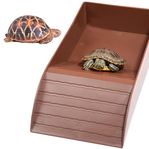 YouYuer Reptilien-Badebecken,Schildkröten Wasserschale,Terrarienschale mit geneigter Futterplatte,Terrarium Trinkschale Reptilien Wasser Tablett Schildkröten Zubehör für Schlange Gecko YouYuer Reptilien-Badebecken,Schildkröten Wasserschale,Terrarienschale mit geneigter Futterplatte,Terrarium Trinkschale Reptilien Wasser Tablett Schildkröten Zubehör für Schlange Gecko von YouYuer