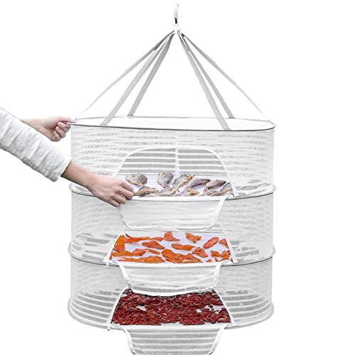 Wäscheständer zum Aufhängen, verformungsbeständig, wiederverwendbar, mit drehbarem Haken, Wäscheständer aus gefaltetem Netz, flach, faltbar, für Kräuter, Knospen, Fleck Wäscheständer zum Aufhängen, verformungsbeständig, wiederverwendbar, mit drehbarem Haken, Wäscheständer aus gefaltetem Netz, flach, faltbar, für Kräuter, Knospen, Fleck von Youding