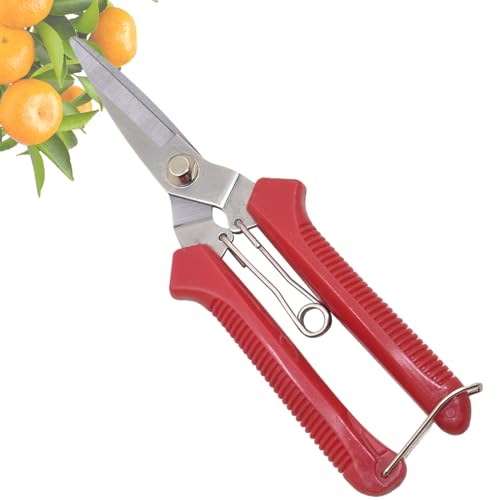 Youding Gartenschere | Robuste Blumenschere,Präzisions Gartenschere mit ergonomischem Griff und rostfreier Klinge für Ernte und Rasenkanten Youding Gartenschere | Robuste Blumenschere,Präzisions Gartenschere mit ergonomischem Griff und rostfreier Klinge für Ernte und Rasenkanten von Youding