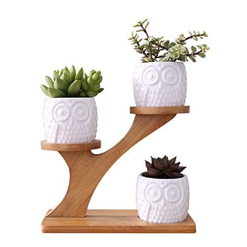 3 x Eulen-Pflanzgefäße für Zimmerpflanzen mit Bambus-Untersetzern, Ständer, weißer Keramik-Sukkulenten-Blumentopf mit Drainage, Heimbüro, Schreibtisch, Garten, Mini-Kaktus-Pflanzgefäß, von Youfui