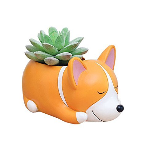 Youfui Corgi Geschenk Pflanzgefäß Blumentopf Kunstharz Sukkulenten Pflanzgefäß Schreibtisch Mini Ornament (Crogi Dog) von Youfui