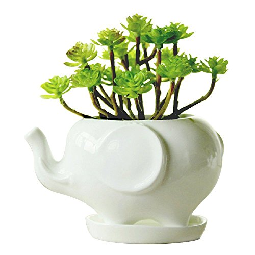 Youfui Keramik-Blumentopf für Sukkulenten Pflanzen, Behälter für Schreibtisch Mini Ornamente (Elefant L) von Youfui