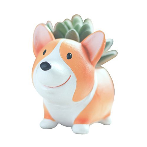 Youfui Niedlicher Corgi-Übertopf aus Kunstharz, für Sukkulenten, Bonsai-Topf, Schreibtischhalter, Mini-Ornament von Youfui