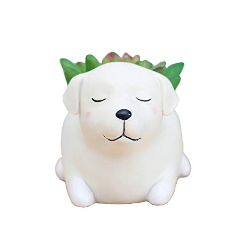 Youfui Niedlicher Hunde-Blumentopf, Kunstharz, Sukkulenten, Schreibtisch, Mini-Ornament (Labrador) von Youfui
