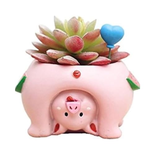 Youfui Niedlicher Sukkulenten-Blumentopf für Heimdekoration, Geschenk (Schwein) von Youfui