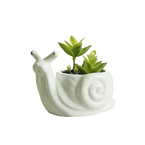 Ucoolbila Keramik-Blumentopf in Tier-Form, weißes Porzellan, Sukkulenten-Blumentopf, Heim/Garten-Vase, Mini-Ziertöpfe von Youfui