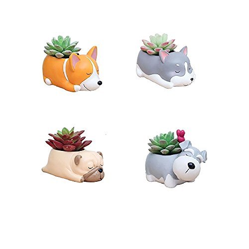 youfui Animal Blumentopf Sukkulenten Container Schreibtisch Mini Ornaments (Sleep crogi + Husky + Mops + SCHNAUZER) von Youfui