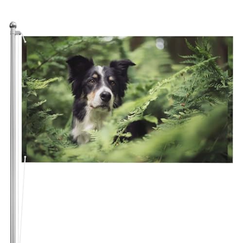 Flagge, 3x5FT doppelseitige Outdoor-Flagge Gartenflaggen Tapisserie Urlaub Hof Party Flaggen,Border Collie Hunde Bokeh Haustiere Schwarz Weiß Flagge, 3x5FT doppelseitige Outdoor-Flagge Gartenflaggen Tapisserie Urlaub Hof Party Flaggen,Border Collie Hunde Bokeh Haustiere Schwarz Weiß von YounPrenG