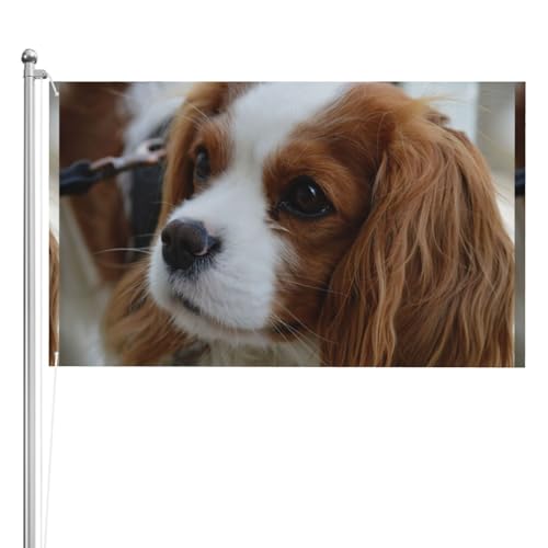 Flagge, 3x5FT doppelseitige Outdoor-Flagge Gartenflaggen Tapisserie Urlaub Hof Party Flaggen,Süßer Cavalier King Charles Spaniel Flagge, 3x5FT doppelseitige Outdoor-Flagge Gartenflaggen Tapisserie Urlaub Hof Party Flaggen,Süßer Cavalier King Charles Spaniel von YounPrenG